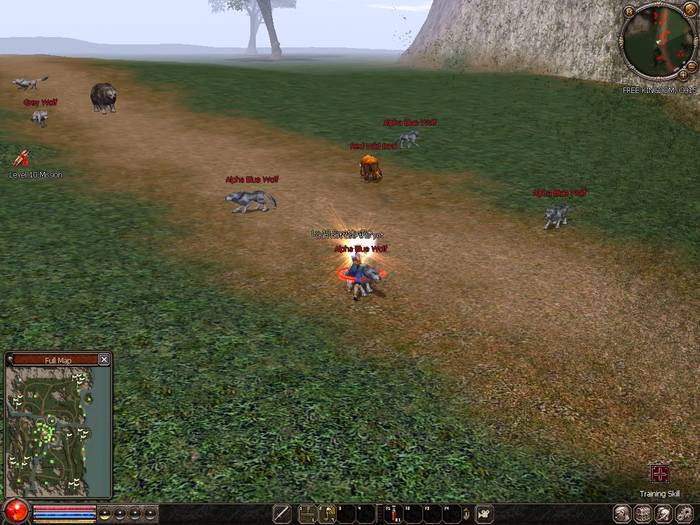 0708_224411 - Metin2