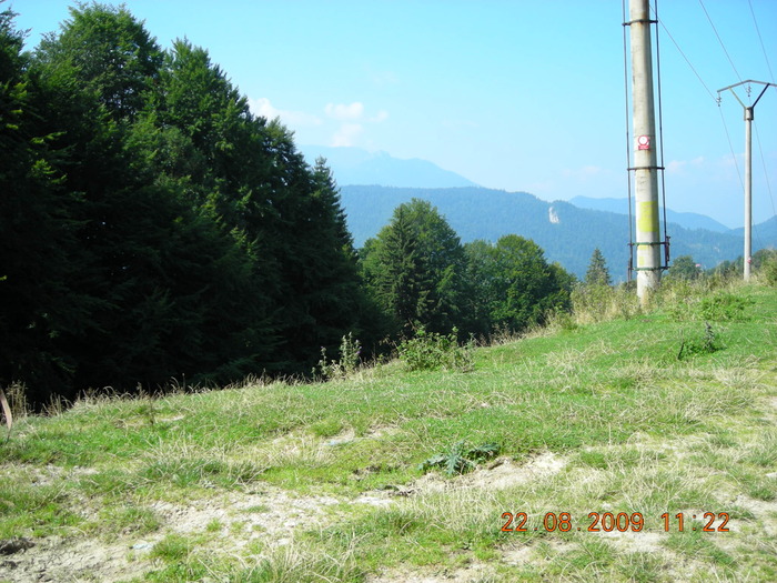DSCN9241 - Sinaia 23 08 2009
