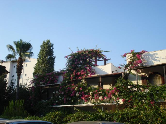 Picture 202 - 2008 TURCIA MARMARIS