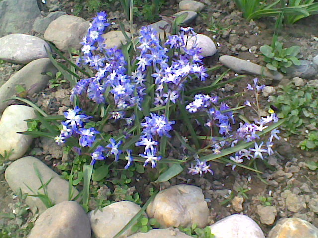 Imag071