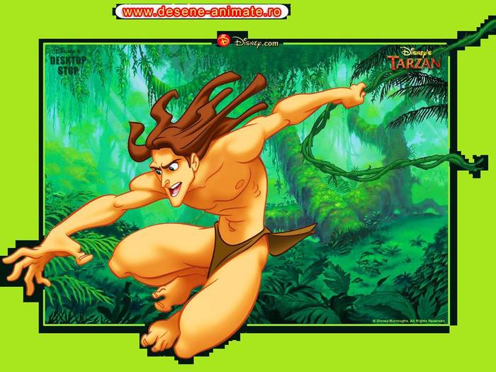 tarzan - concurs5