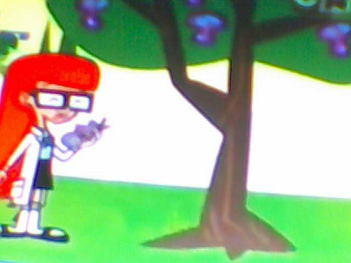 snapshot-2822 - Video Hsm Vedete