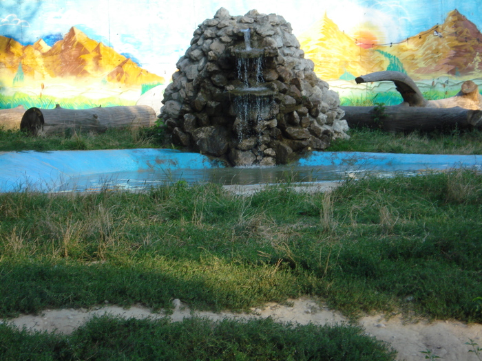 Picture 027