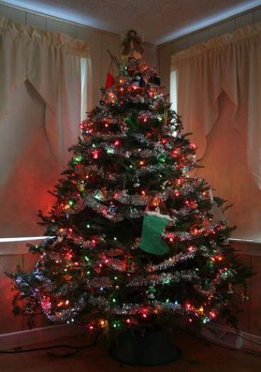 24_poze_craciun - Craciun