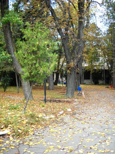 Picture 278; 1.87mb jpeg 10/4/2009 3.09pm
