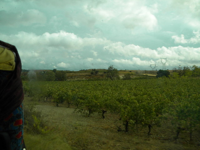 DSCN1671