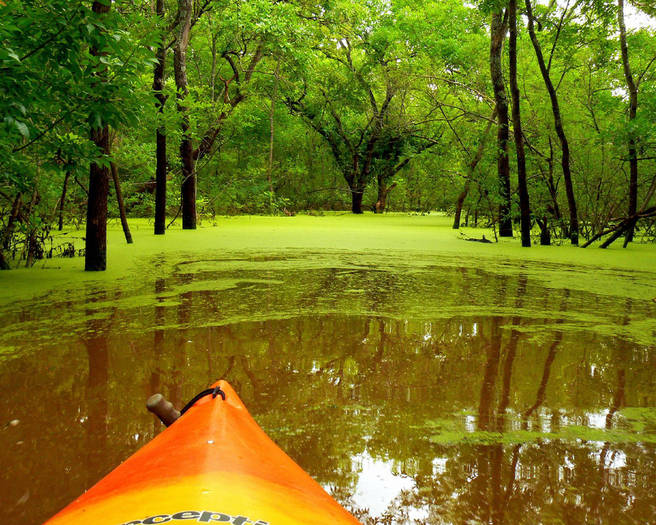 1595884738 - POZE DESKTOP