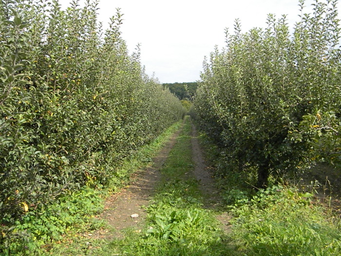 DSCN3198