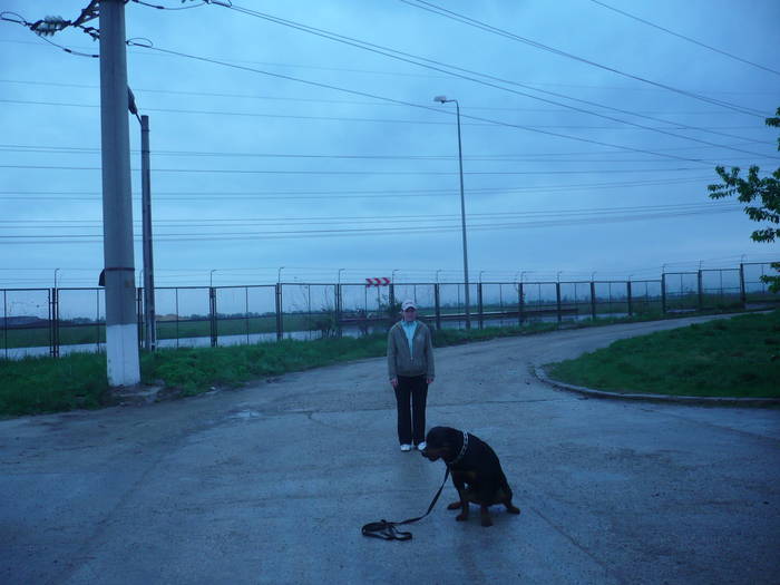 P1060108 - CAINI- pisici-DIVERSE