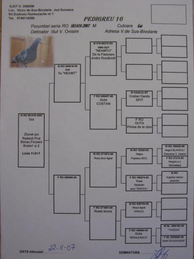 RO 581403-2007 M - 8-pedigree