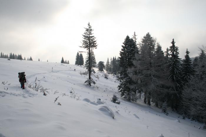 19.02.2009 148 - piatra craiului -februarie 2009