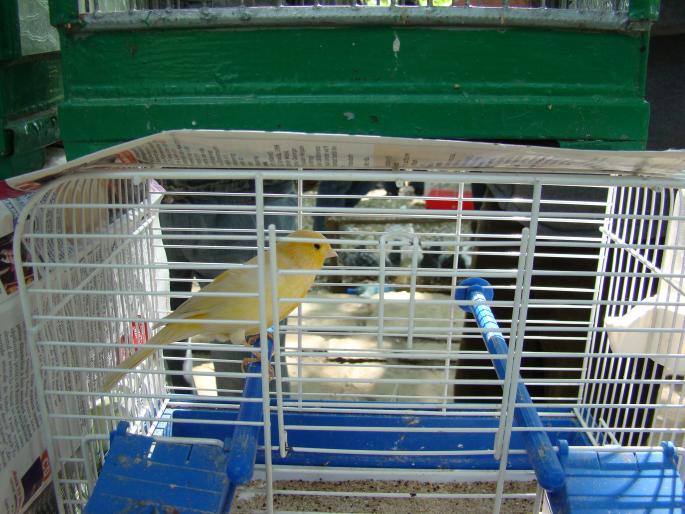 DSC00441