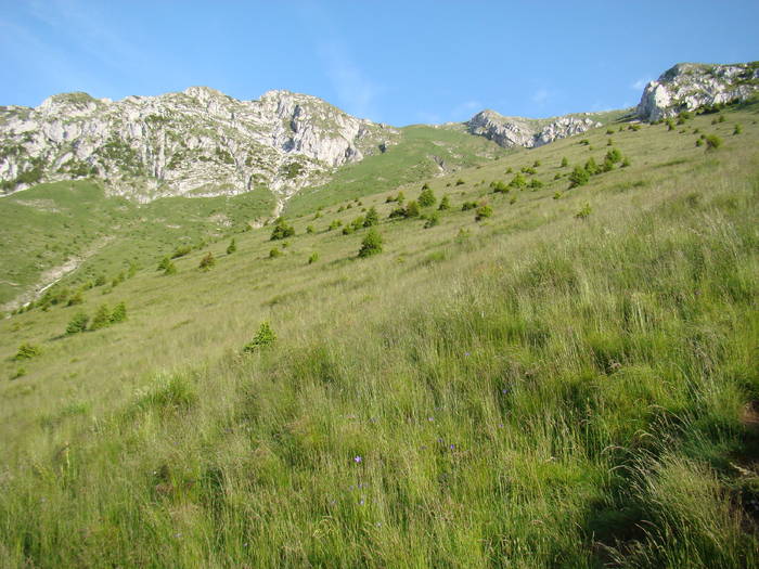 DSC03872 - Concediu 2009