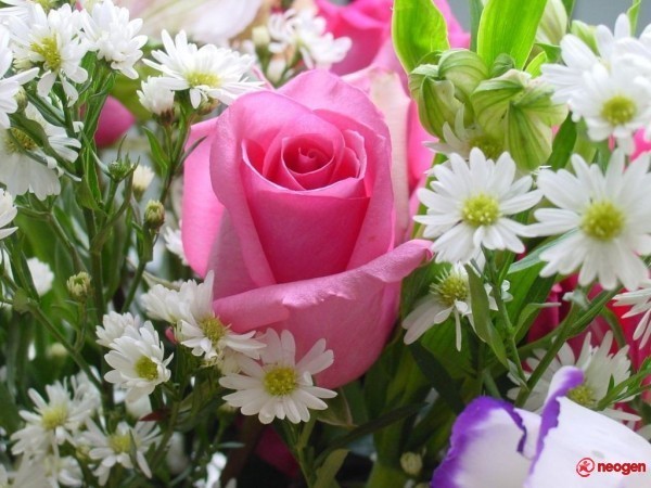 d74393ec_0050000920816_00_600