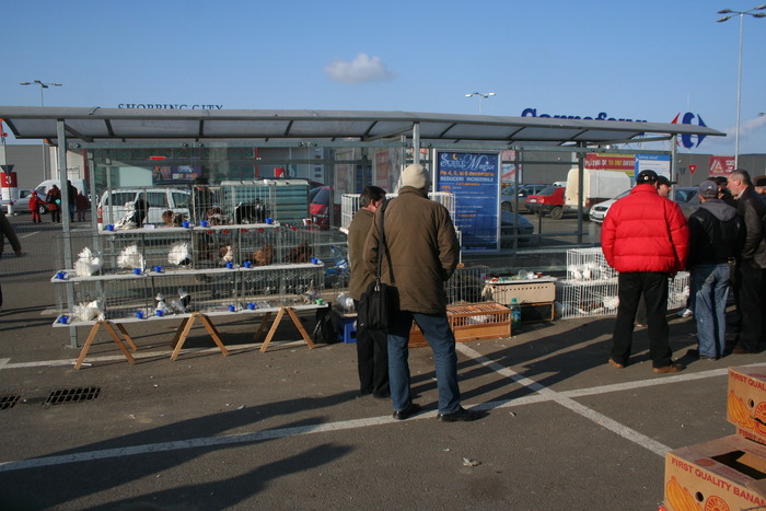 targul de afara EXPO-PAS Suceava 2009