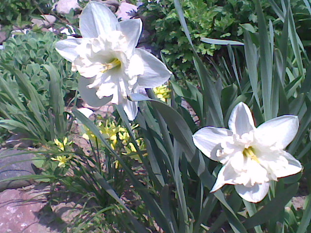 Imag045
