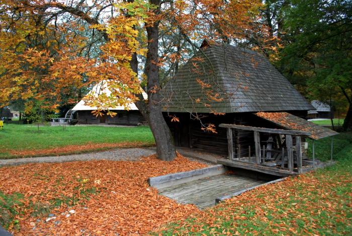 DSC_1409 - Muzeu Sat