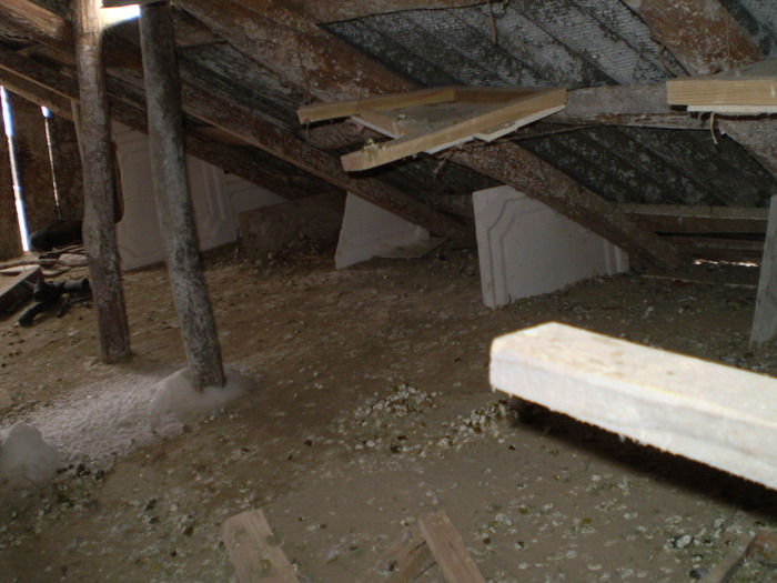 porumbei10 079 - porumbei la zbor din matca 2009