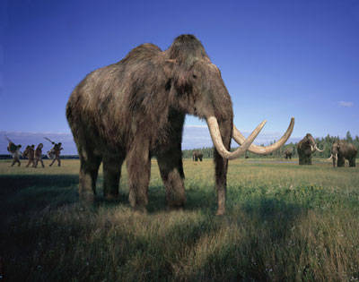 evi_woollymammoth_large[1]