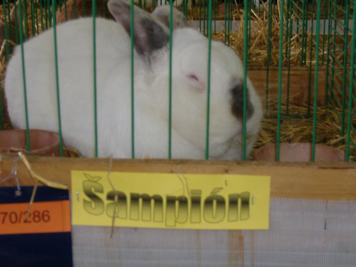 Nitra 06.12.2008 056