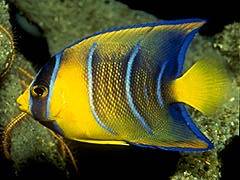 109 - poze muuuuuuuuuuuuuulte