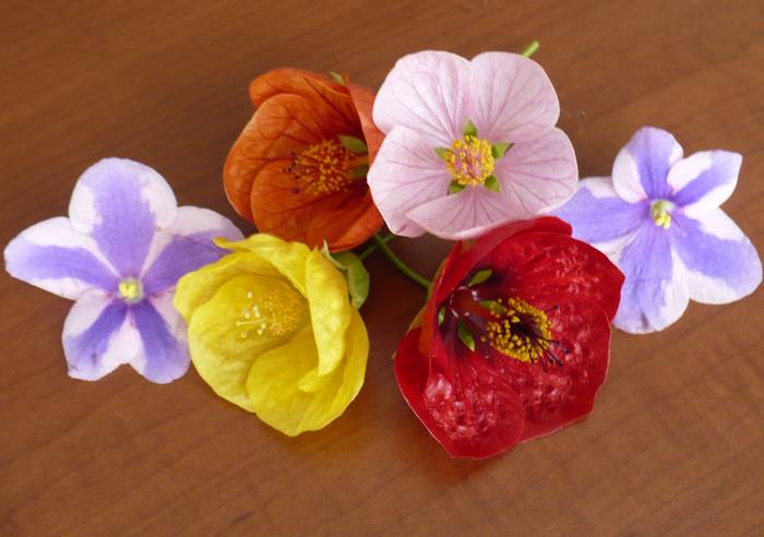 P1120813 - flori diverse