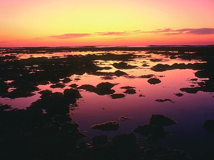 Ebb Tide - 0-Rasarituri_apusuri