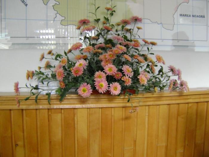 DSC00105 - Flori de toamna - Iasi - 26 oct 2008