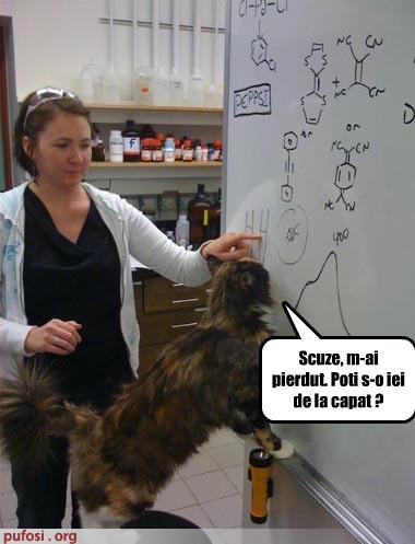 pisica ta nu poate face asta; pisica ta pun pariu ca nu poate lua lectii de chimie!
