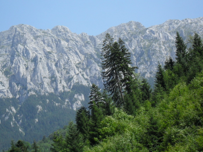 SDC10069 - piatra craiului