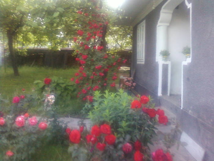 Fotografii-0103