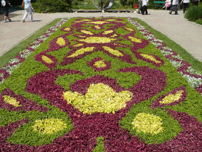 P1120080 - Herastrau 2009 mai 10