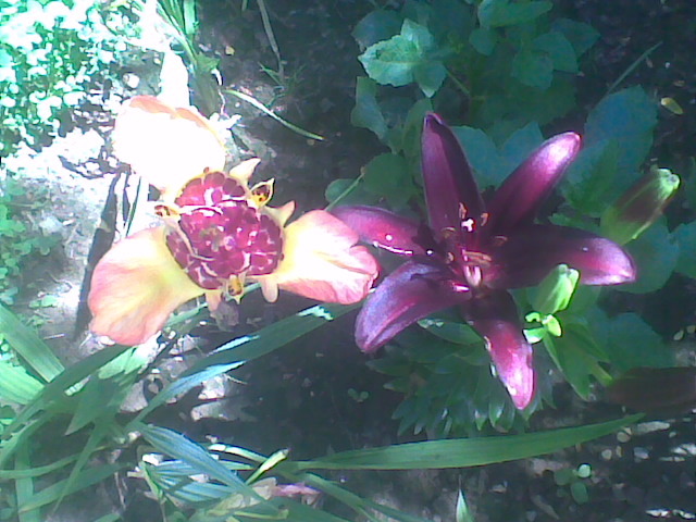 Imag046