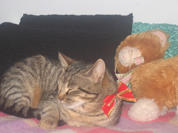 23 dec 2007 070