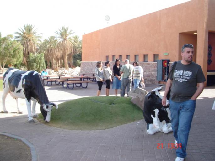 279 Israel - in drum spre Timna Park - 2008 ISRAEL NOIEMBRIE
