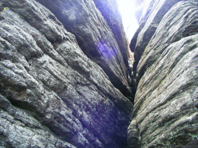 DSCF1959 - varful Ignis Maramures