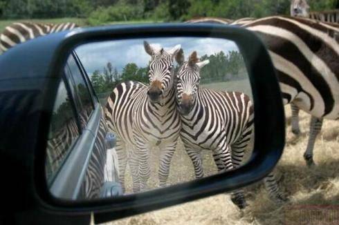 Closer than they Appear