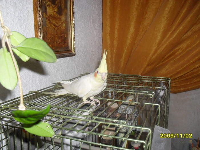 SDC12003