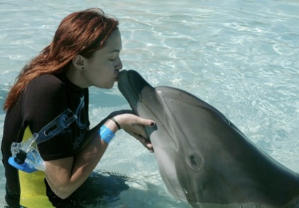 miley si delfin  kiss kiss - PoZZe RarE MilEEyZ CyRuSS