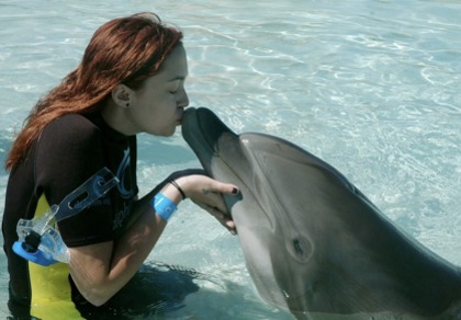 miley si delfin  kiss kiss