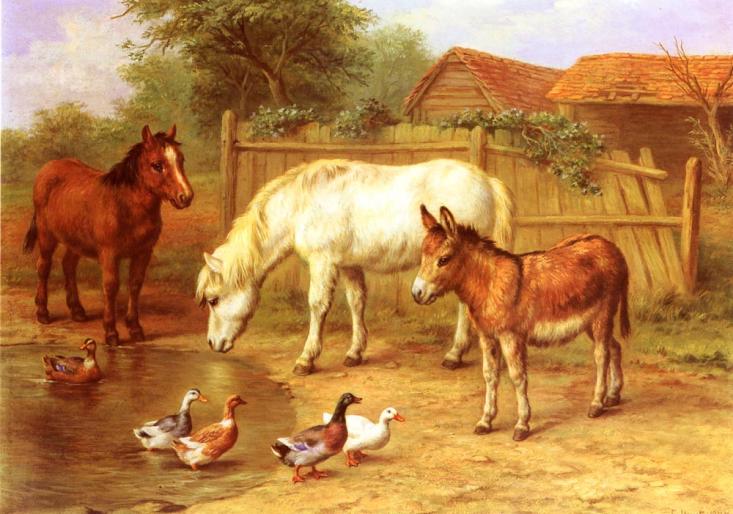 Hunt_Edgar_Ponies,_Donky_and_Ducks_In_A_Farmyard - ANIMALE