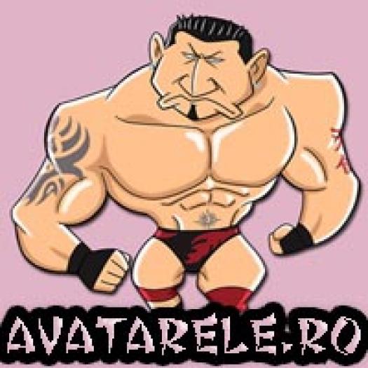 49 - avatare cu wrestling