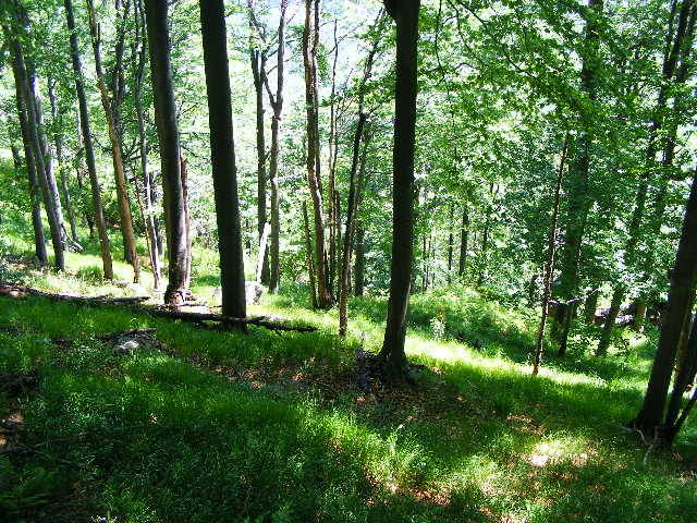 DSCF1996 - varful Ignis Maramures