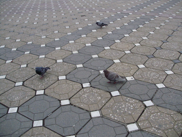 P9040117 - 18g Timisoara