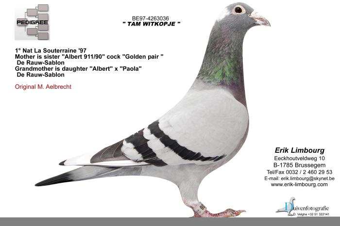 B97-4263036; Bunica lui Lista Limburg
