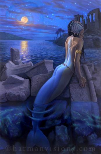 Mermaid-Nocturne - SIRENE