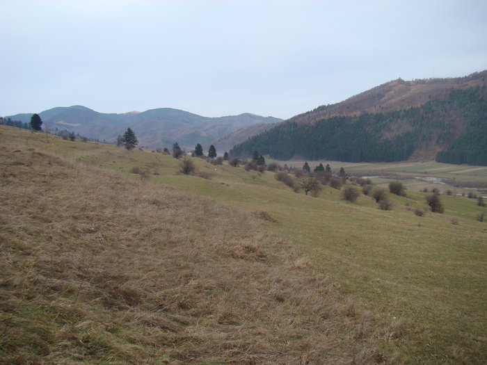 DSC04552 - Valea Crapaturii - Piatra Craiului