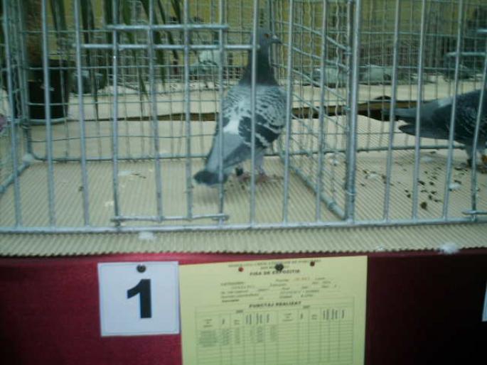 IMAG014