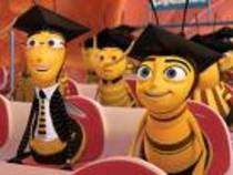 bee movie (61) - bee movie
