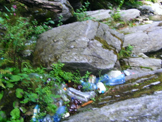 DSCF5178